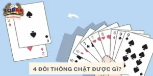 4 đôi thông chặt được gì