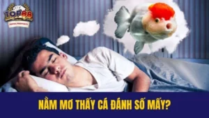 nằm mơ thấy cá đánh số mấy